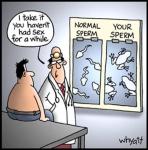 sperm analysis