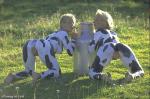 cow-girls