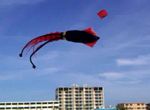 Kites on Treasure Island Beach