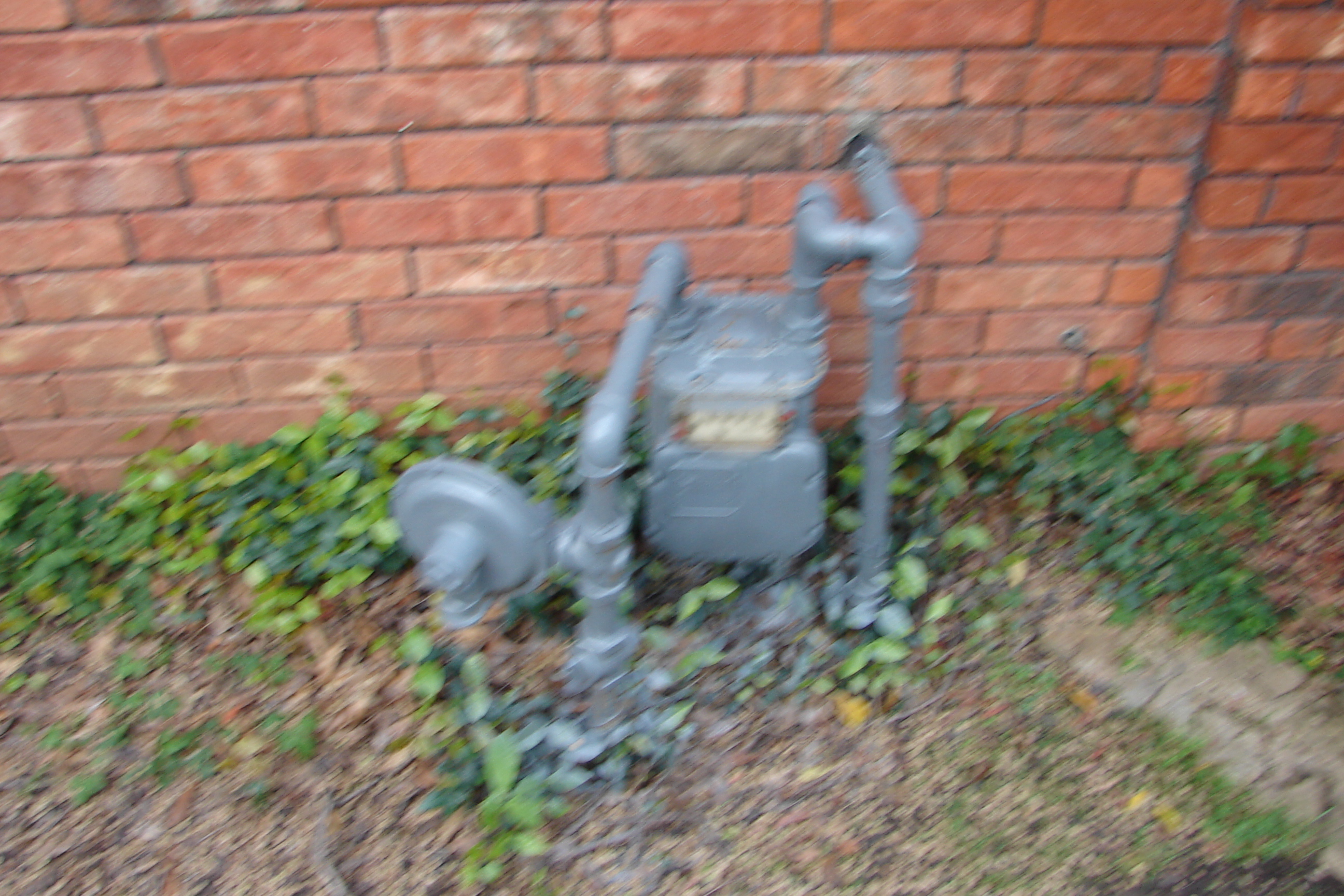 DSC02256.JPG