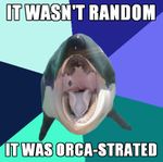 orca-strated