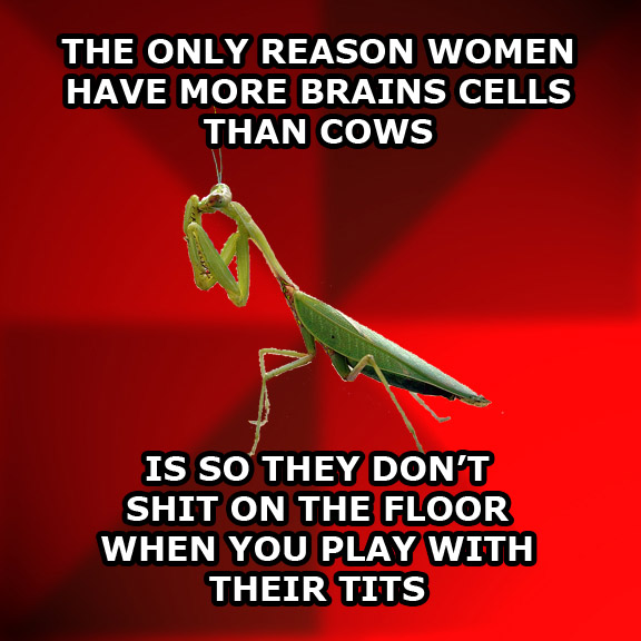 women are not cows