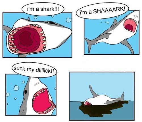 shark oil