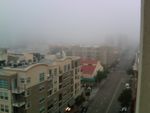 sd fog2