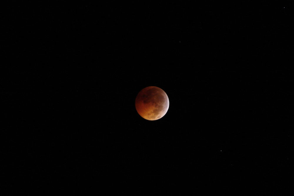 Lunar Eclipse at St Pete Beach 2010-12-21-0247