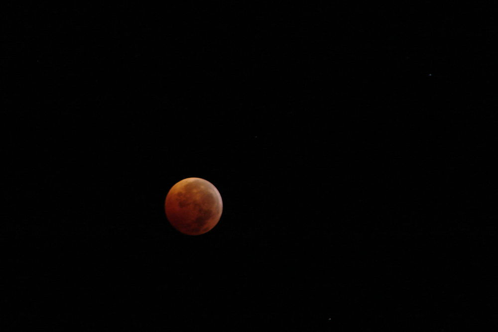 Lunar Eclipse at St Pete Beach 2010-12-21-0340