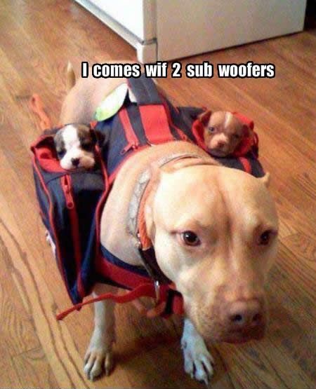 sub woofers