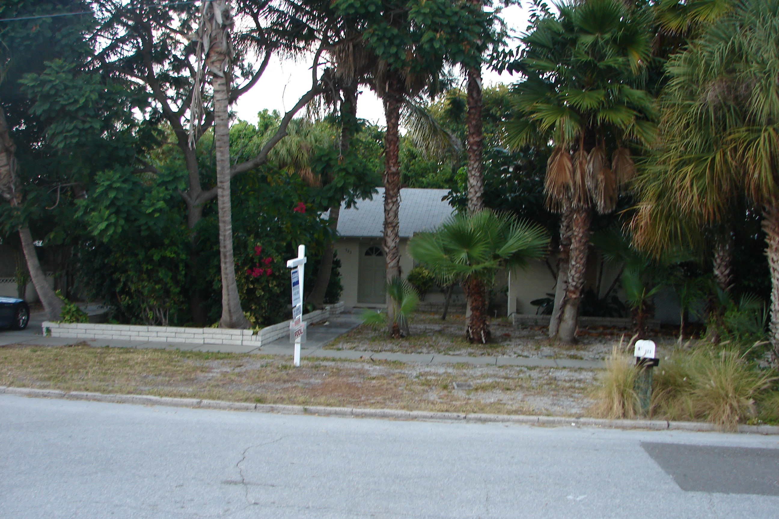 DSC01742.JPG