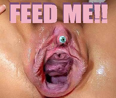 eyefeedmeuo2